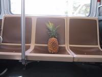 pineapple1