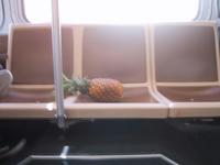 pineapple2