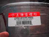 mastergreen